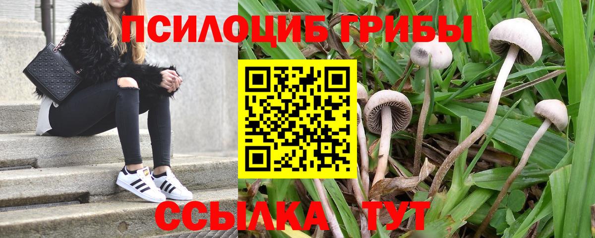 Псилоцибиновые грибы GOLDEN TEACHER  Псилоцибиновые грибы GOLDEN TEACHER  Вход с VPN  Сочи 