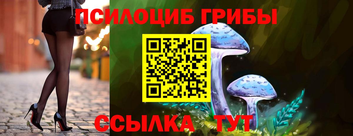 Псилоцибиновые грибы мухоморы Сочи